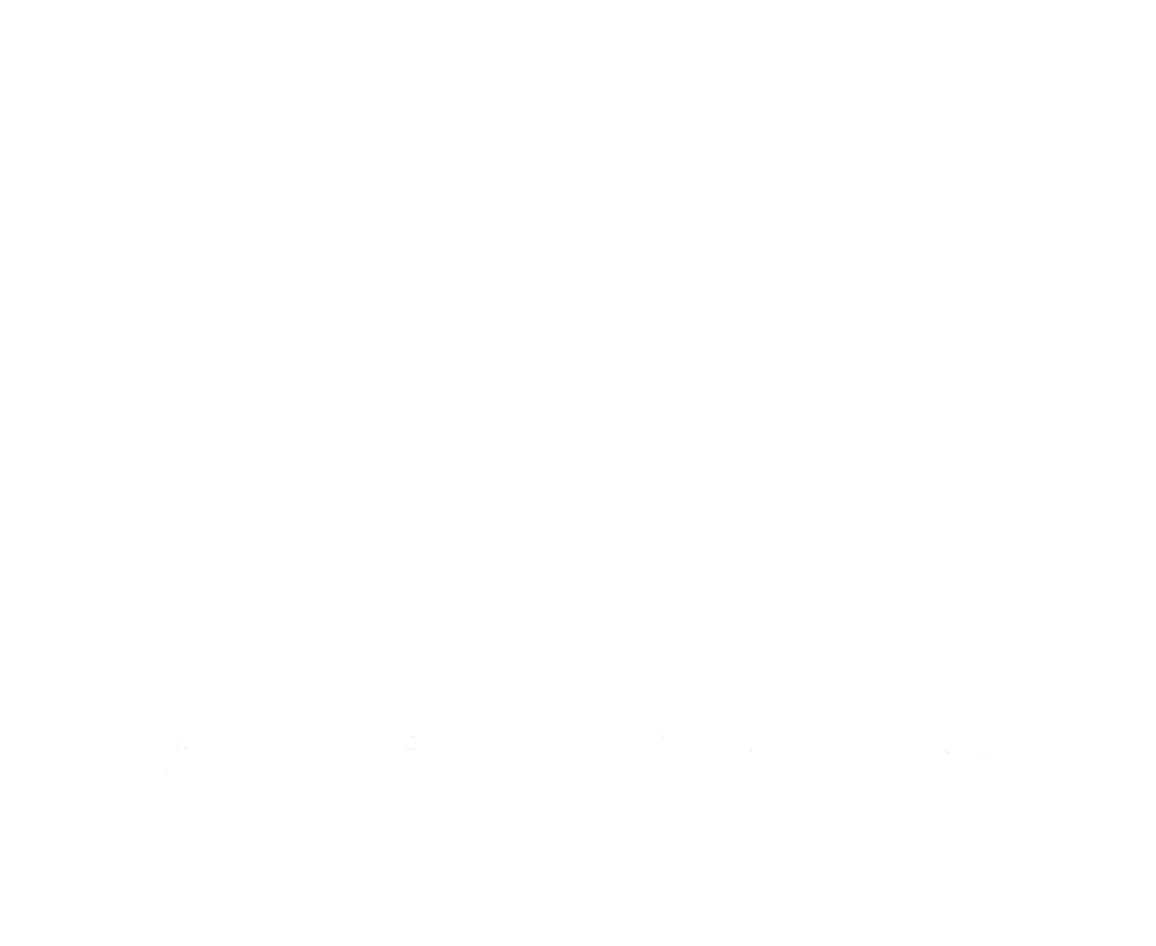 NRT_White.logo
